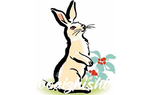 兔的死对头是什么生肖？埋葬兔子的忌讳？