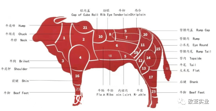 为什么巴西牛肉便宜？巴西牛肉为什么这么便宜？