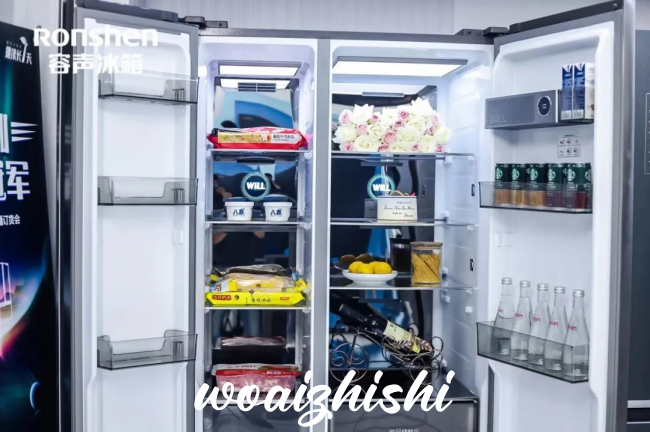 利勃海尔冰箱在德国什么档次？冰箱西门子和海尔哪个好些？